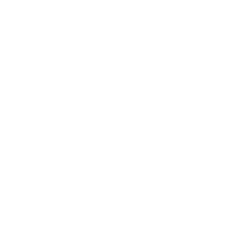 Ramos de Flores Frescas