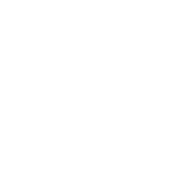 Flores para Bodas